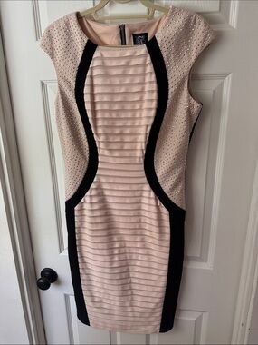 Jax Blush Pink and Black Cap-Sleeve Sheath Dress